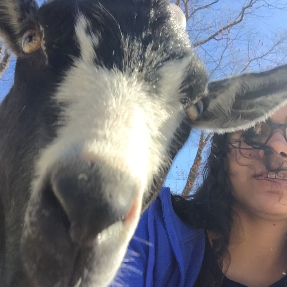 Meet your Posher, Isabelle - Picture 2 of 5